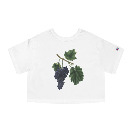 Champion Women's Heritage Cropped T-Shirt